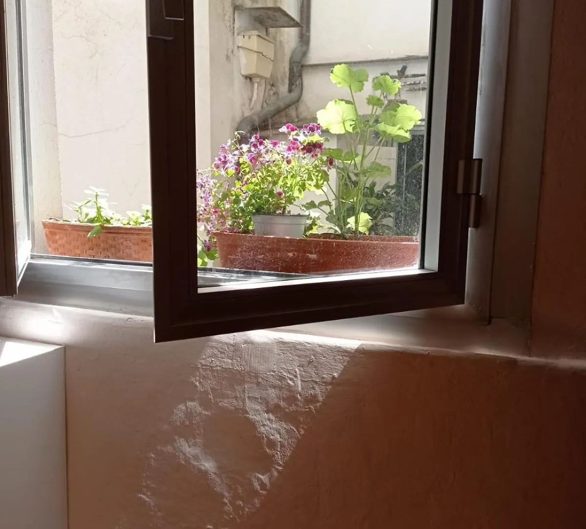 Appartamento Nel Cuore Di Genova